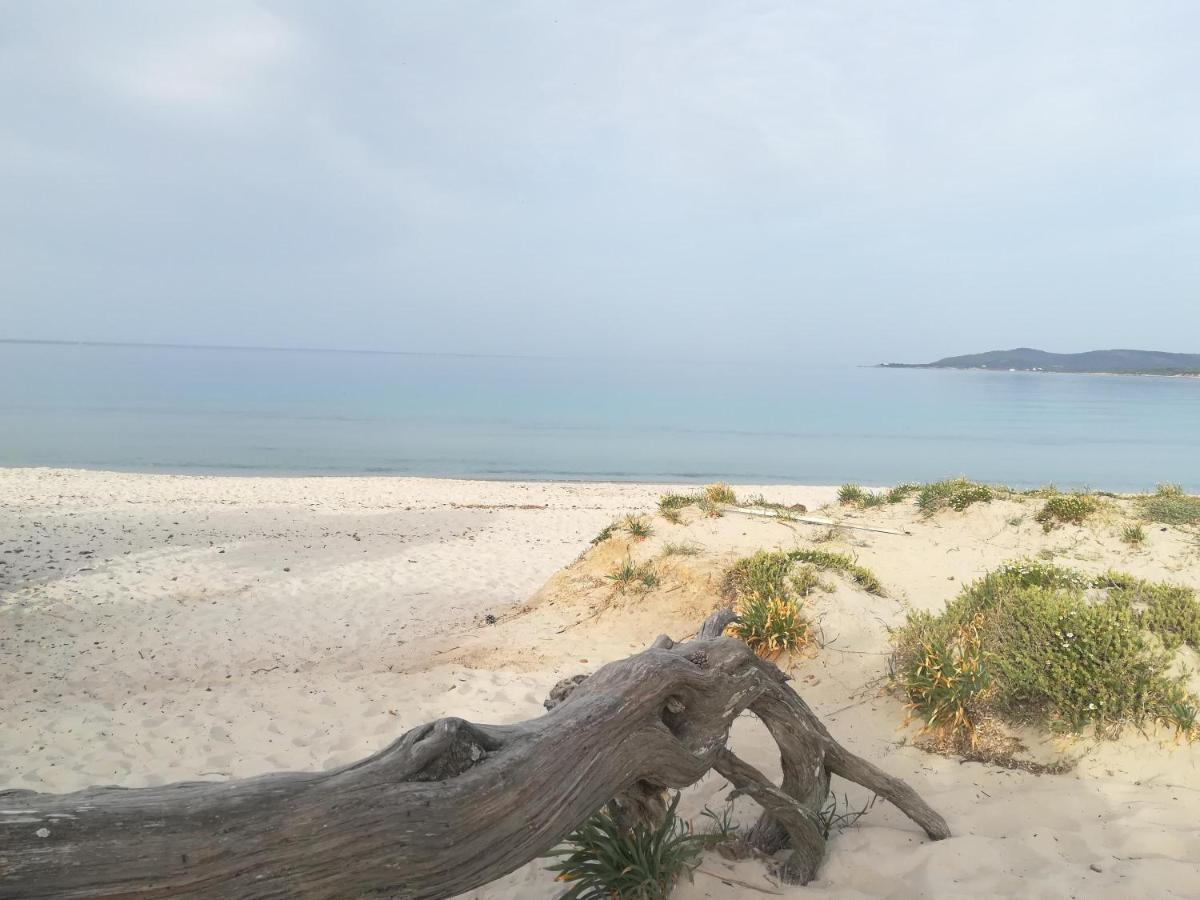 Sunshine Home Attico Vista Mare Alghero Dış mekan fotoğraf
